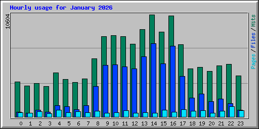 Hourly usage for January 2026