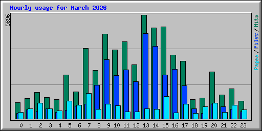 Hourly usage for March 2026
